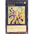 〔状態A-〕セイクリッドプレアデス【ノーマル】{21TP-JP408}《エクシーズ》