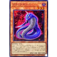 ブラックマンバ【スーパー】{22PP-JP005}《モンスター》