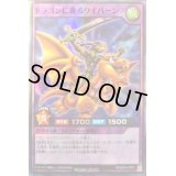〔状態B〕ドラゴンに乗るワイバーン【スーパー】{RD/B004-JP001}《RDフュージョン》