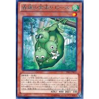 森羅の実張りピース【レア】{LVAL-JP015}《モンスター》