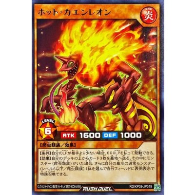 ホットカエンレオン【レア】{RD/KP08-JP019}《RDモンスター》