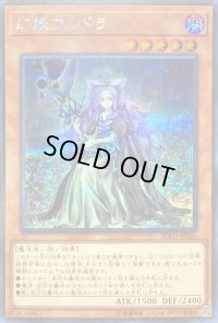 〔状態B〕幻妖フルドラ【シークレット】{SOFU-JP026}《モンスター》