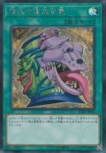 強欲で貪欲な壺【シークレット】{RC02-JP010}《魔法》