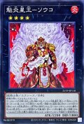 魁炎星王ソウコ【ノーマル】{21TP-JP110}《エクシーズ》