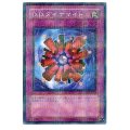 〔状態B〕DDダイナマイト【ノーマルパラレル】{FET-JP057}《罠》
