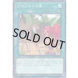 アマゾネスの里【ノーマル】{DP18-JP014}《魔法》