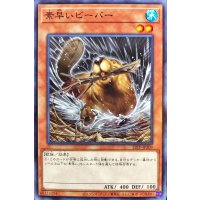〔状態A-〕素早いビーバー【ノーマル】{22TP-JP209}《モンスター》