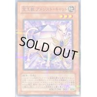 宝玉獣アメジストキャット【ノーマルパラレル】{FOTB-JP002}《モンスター》