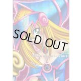 〔状態A-〕ブラックマジシャンガール(DDM/ピンク)【シークレット】{-}《-》