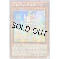 〔状態B〕☆アジア☆丘と芽吹の春化精【プリズマティックシークレット】{アジアPOTE-JP016}《モンスター》