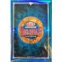 スリーブ『ライトブルー(デュエルロワイヤル2)』45枚入り【-】{-}《スリーブ》