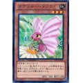 〔状態B〕ナチュルバタフライ【レア】{DTC3-JP019}《モンスター》