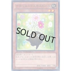 画像1: ナチュルコスモスビート【ノーマル】{DTC2-JP012}《モンスター》