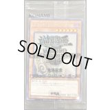 (未開封)ブラックマジシャンガール【ホログラフィック】{2017-JPP01}《モンスター》