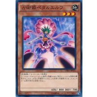 占術姫ペタルエルフ【ノーマル】{CPD1-JP031}《モンスター》
