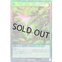 〔状態A-〕森【スーパー】{RD/B221-JP004}《RD魔法》