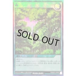 画像1: 〔状態A-〕森【スーパー】{RD/B221-JP004}《RD魔法》