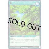 森【ノーマル】{RD/B221-JP004}《RD魔法》