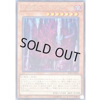 天威龍ヴィシュダ【レア】{RIRA-JP016}《モンスター》