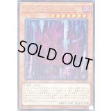 〔状態B〕天威龍ヴィシュダ【レア】{RIRA-JP016}《モンスター》