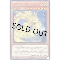 〔状態A-〕天威龍アシュナ【レア】{CHIM-JP019}《モンスター》