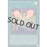 クロスソウル【ウルトラ】{KC01-JP042}《魔法》