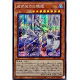 〔状態A-〕☆アジア☆迷宮城の白銀姫【シークレット】{アジアDABL-JP030}《モンスター》