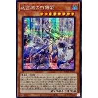 〔状態A-〕☆アジア☆迷宮城の白銀姫【シークレット】{アジアDABL-JP030}《モンスター》