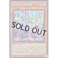 〔状態B〕☆アジア☆迷宮城の白銀姫【シークレット】{アジアDABL-JP030}《モンスター》