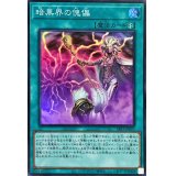 暗黒界の傀儡【スーパー】{SR13-JP025}《魔法》