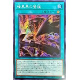〔状態A-〕☆アジア☆暗黒界の登極【シークレット】{アジアSR13-JPP02}《魔法》