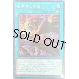〔状態B〕☆アジア☆暗黒界の登極【シークレット】{アジアSR13-JPP02}《魔法》