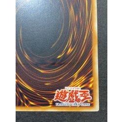 画像11: 〔状態B〕☆旧アジア☆オプションハンター【レリーフ】{SOI-AE058}《コレクター向け》