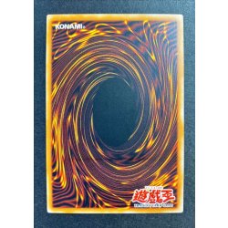 画像7: 〔状態B〕☆旧アジア☆オプションハンター【レリーフ】{SOI-AE058}《コレクター向け》