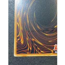 画像10: 〔状態B〕☆旧アジア☆オプションハンター【レリーフ】{SOI-AE058}《コレクター向け》