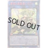 〔PSA10鑑定済〕☆アジア☆蒼翠の風霊使いウィン【20thシークレット】{アジアRIRA-JP046}《リンク》
