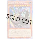 〔状態B〕☆アジア☆樹冠の甲帝ベアグラム【プリズマティックシークレット】{アジアPHHY-JP021}《モンスター》