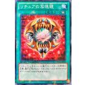 〔状態A-〕リチュアの写魂鏡【ノーマル】{DTC2-JP116}《魔法》