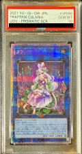 〔PSA10鑑定済〕クラリアの蟲惑魔【プリズマティックシークレット】{LIOV-JP046}《リンク》