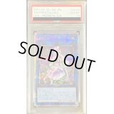 〔PSA10鑑定済〕クラリアの蟲惑魔【プリズマティックシークレット】{LIOV-JP046}《リンク》