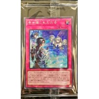 (未開封)壱世壊に軋む爪音【シークレット】{22YJ-JPO02}《罠》