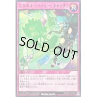 エクスキューティーキャッチ！【ノーマル】{RD/ORP1-JP041}《RD罠》