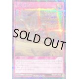 〔状態B〕亜竜地獄【シークレット】{RD/ORP1-JP068}《RD罠》