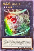 〔状態B〕神羊樹バロメット【ウルトラ】{VJMP-JP227}《エクシーズ》