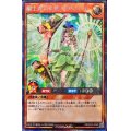 極上寿司天使アガリブエル【シークレット】{RD/S223-JP005}《RDモンスター》