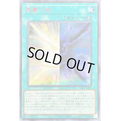 画像1: 〔状態B〕表裏一体【シークレットSPECIAL RED Ver.】{23PP-JP005}《魔法》