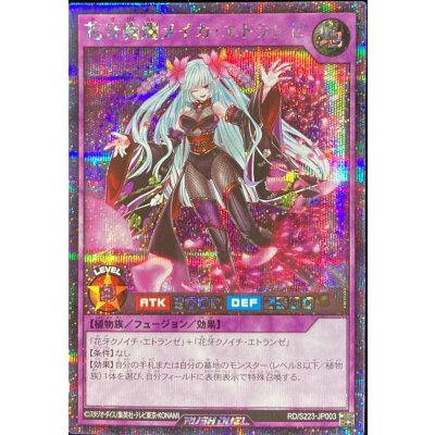 〔状態A-〕花牙絢爛メイカエトランゼ【シークレット】{RD/S223-JP003}《RDフュージョン》