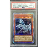 〔PSA10鑑定済〕青眼の亜白龍【20thシークレット】{20CP-JPF01}《モンスター》