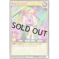 〔状態A-〕痛花牙のクズ【ノーマル】{RD/B223-JP008}《RDモンスター》