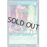 陰陽封陣【ノーマル】{RD/SD01-JP023}《RD魔法》